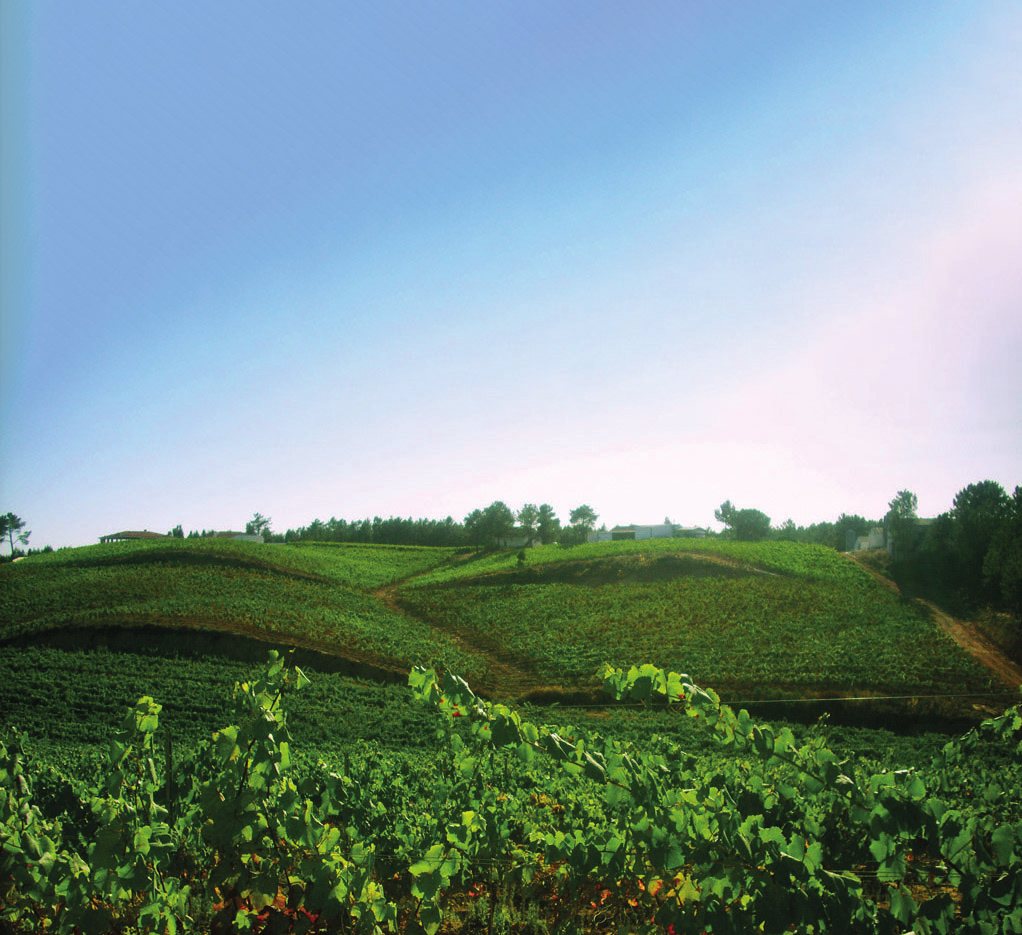 Paisagem agrícola da região de Rio Maior